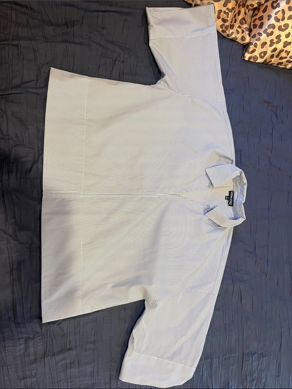 Women Light Blue Stripe Short-Sleeve oversized Shirt
